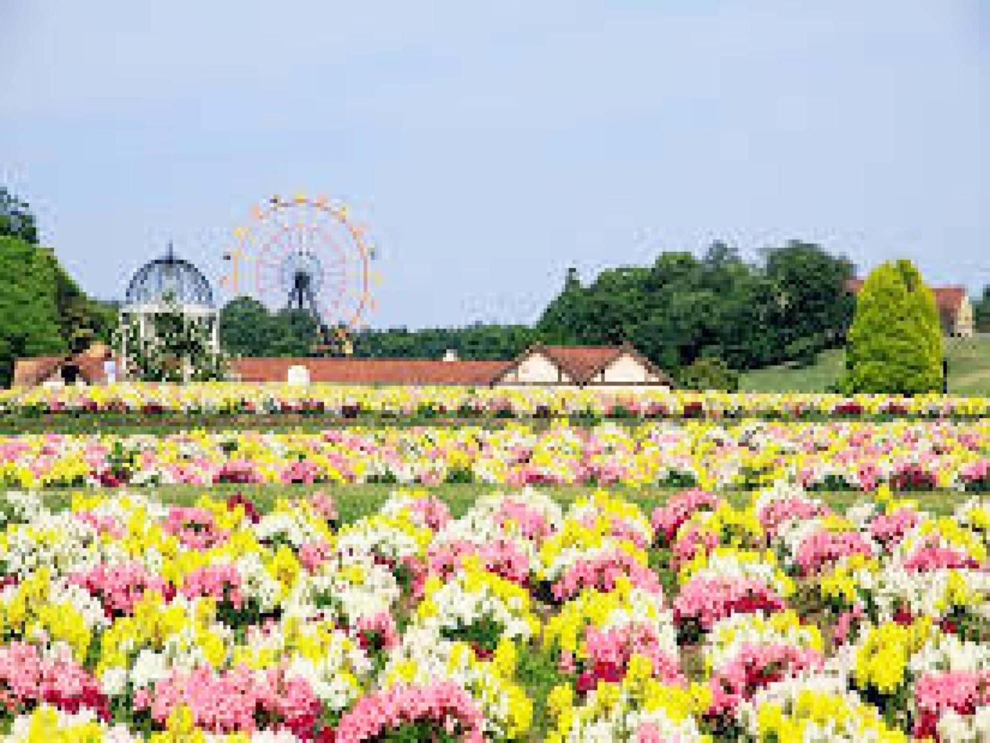 Hotel Royal Garden Kisarazu / Vacation Stay 72219 エクステリア 写真